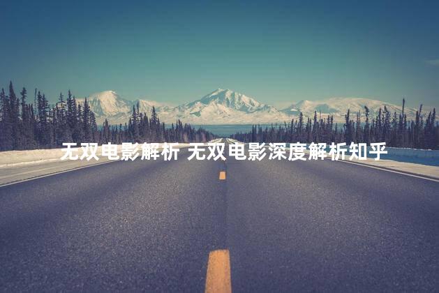 无双电影解析 无双电影深度解析知乎